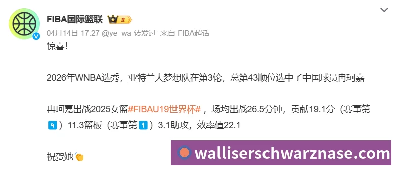 奖项证书